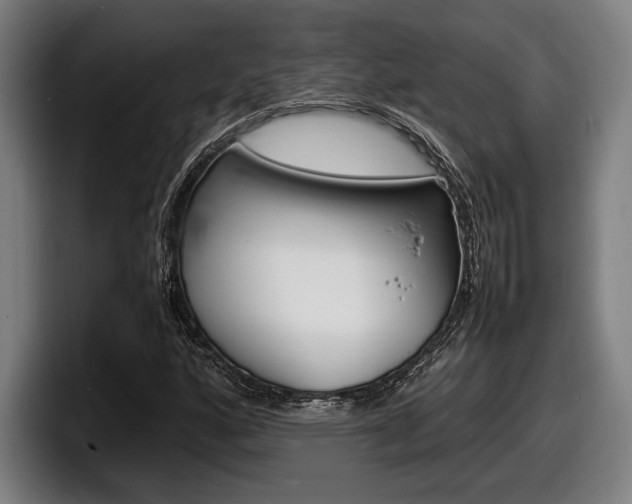 X0000098161160200804171211