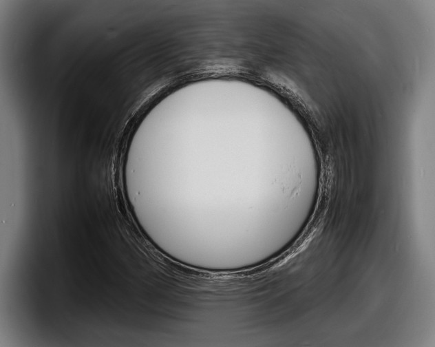 X0000098161162200804171211
