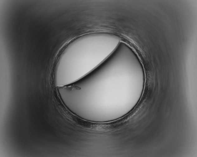 X0000098161163200804171211