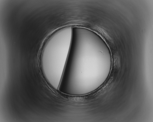 X0000098161164200804171211