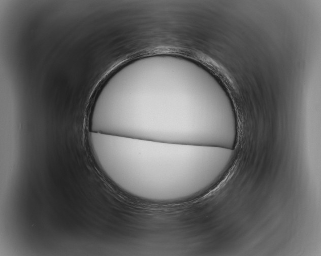X0000098161170200804171211