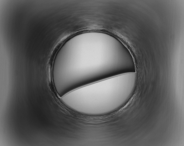 X0000098161171200804171211
