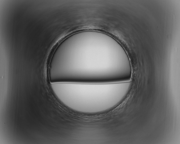 X0000098161173200804171211