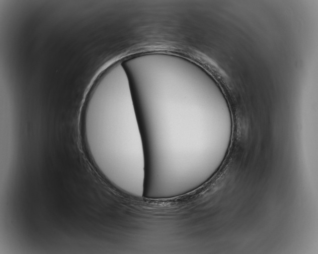 X0000098161174200804171211