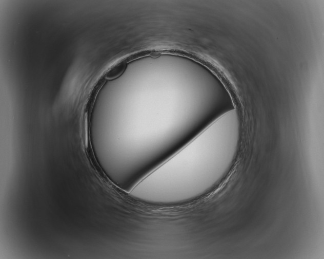 X0000098161175200804171211