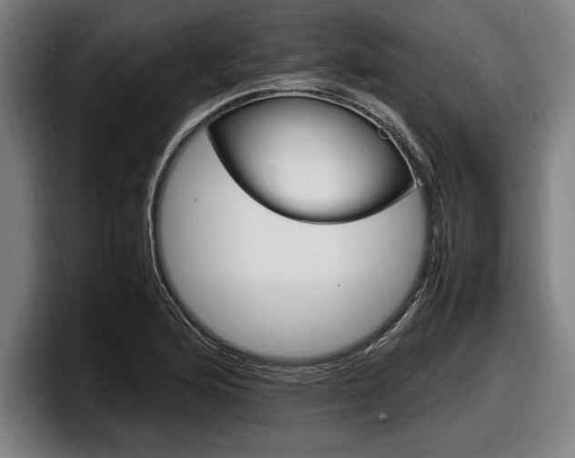 X0000098161176200804171211
