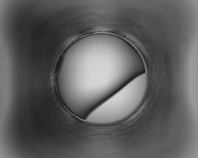 X0000098161177200804171211