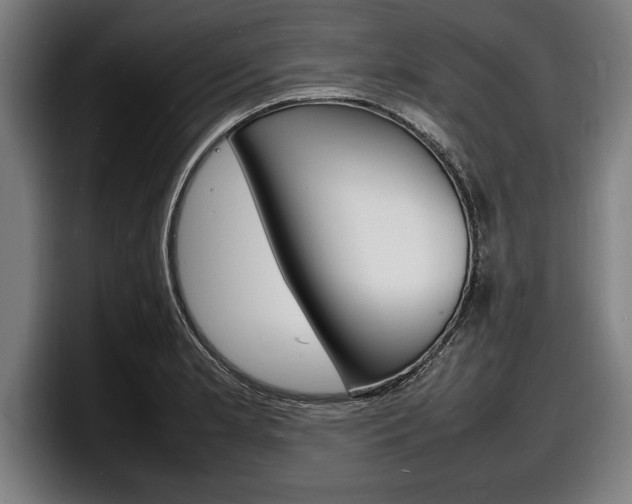 X0000098161181200804171211