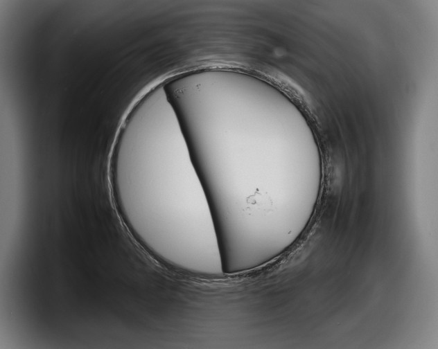 X0000098161182200804171211