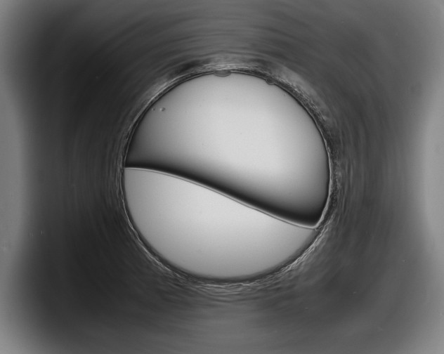 X0000098161185200804171211