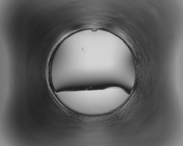 X0000098161187200804171211
