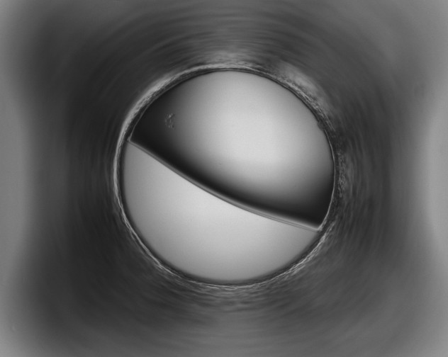 X0000098161188200804171211