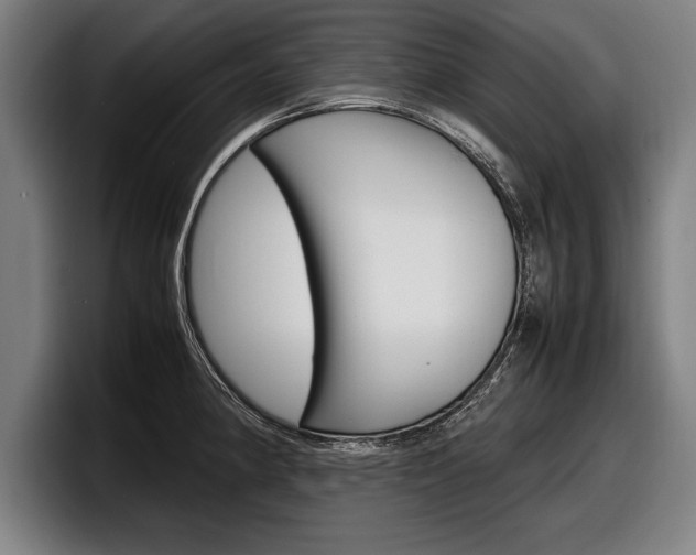X0000098161190200804171211