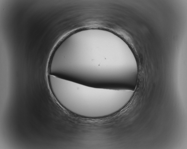 X0000098161191200804171211