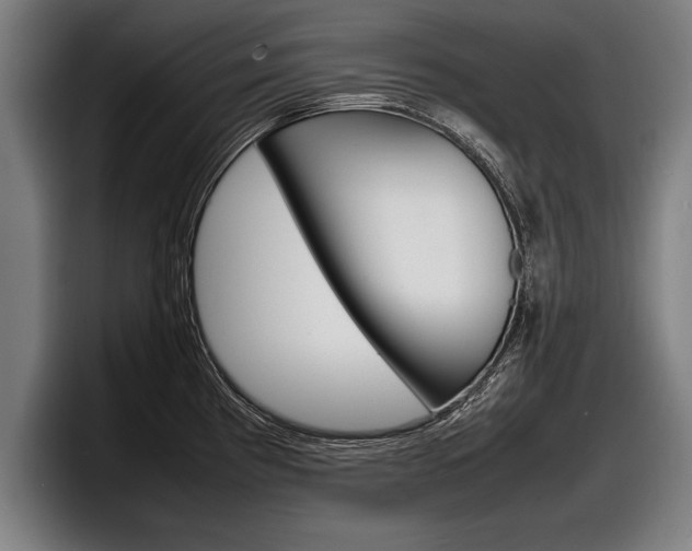 X0000098161193200804171211