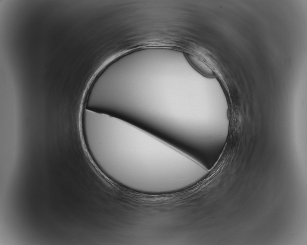 X0000098161195200804171211