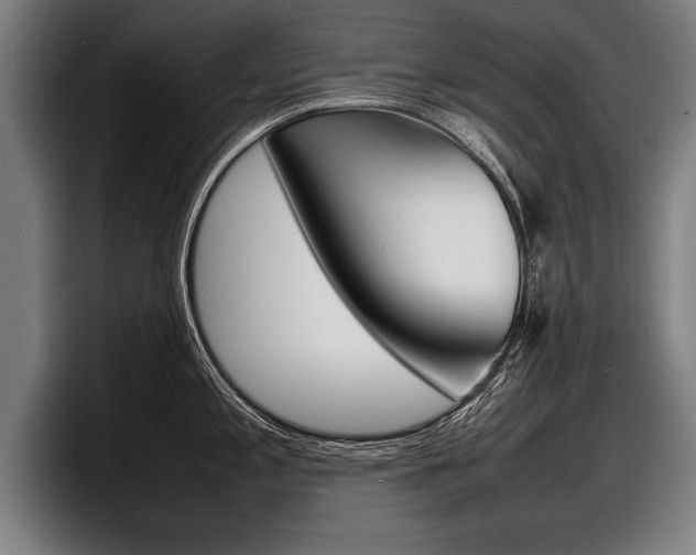 X0000098161197200804171211
