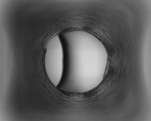 X0000098161201200804171210