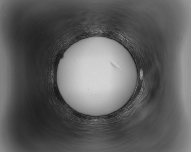 X0000098161203200804171210