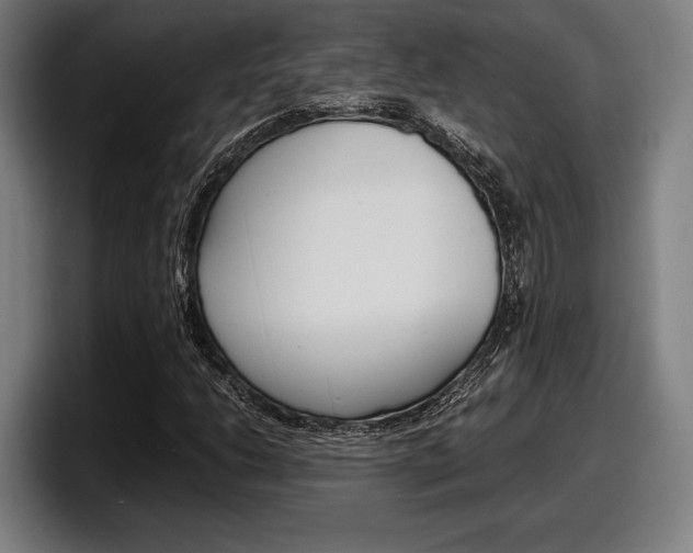 X0000098161206200804171210