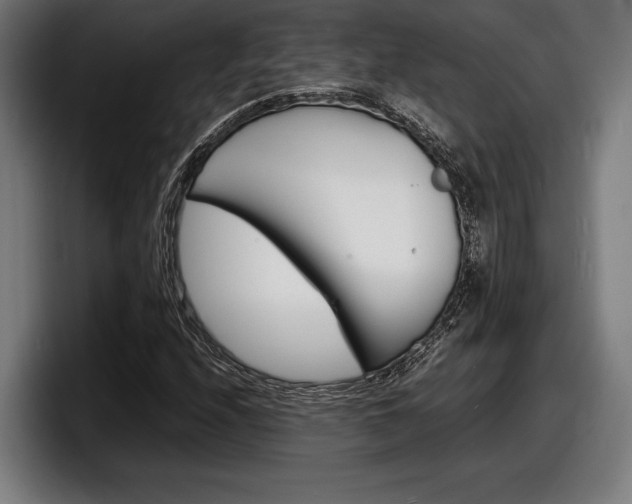X0000098161208200804171210