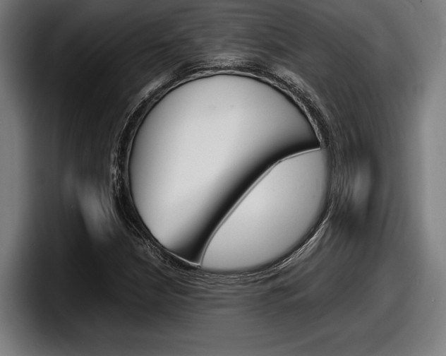 X0000098161210200804171210