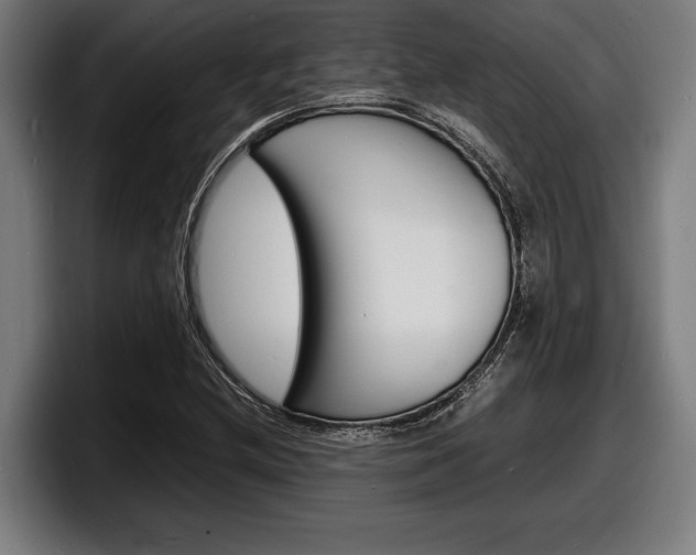 X0000098161212200804171210