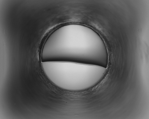 X0000098161214200804171210