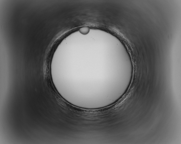 X0000098161215200804171210