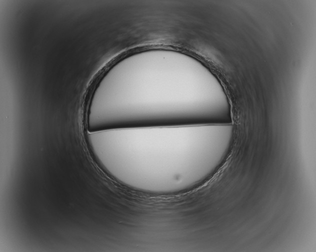 X0000098161216200804171210