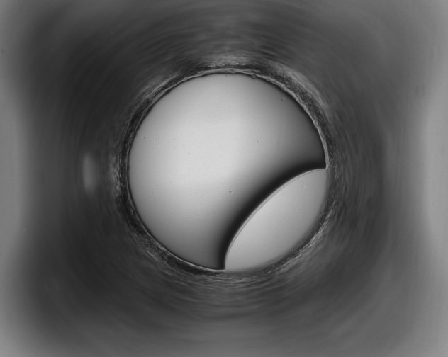 X0000098161217200804171210