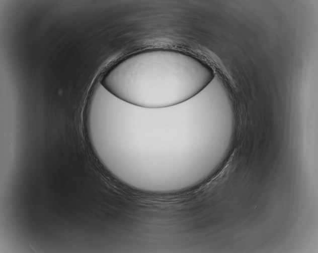 X0000098161218200804171210