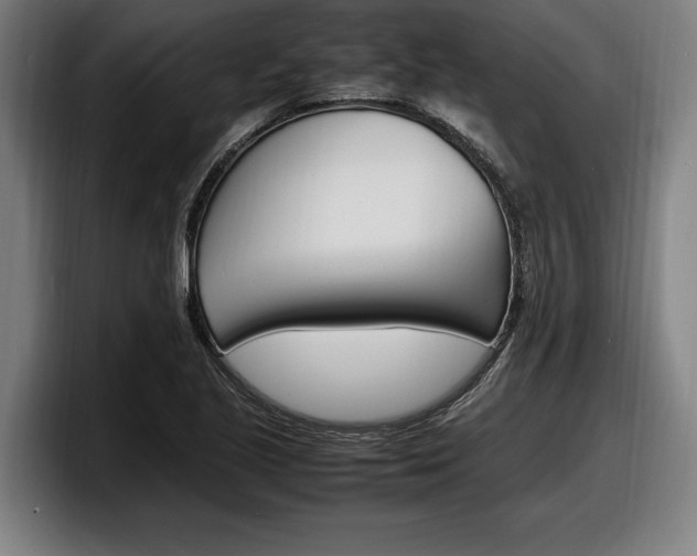 X0000098161221200804171210