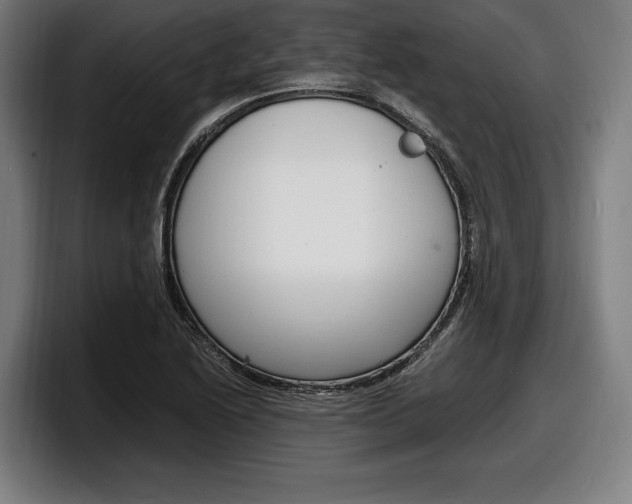 X0000098161222200804171210