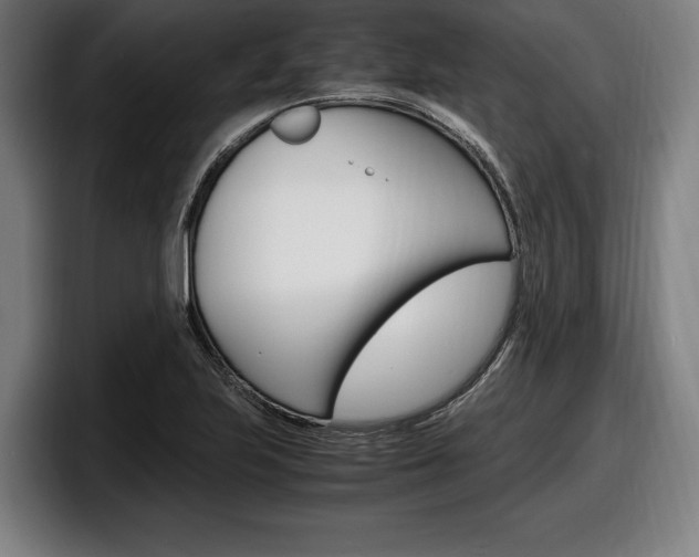 X0000098161223200804171210