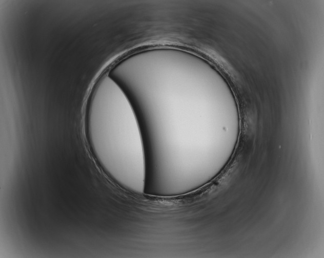 X0000098161224200804171210