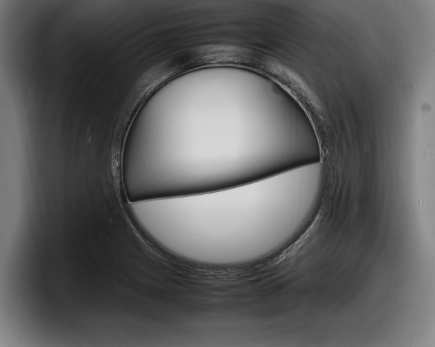 X0000098161225200804171210