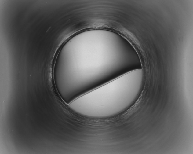 X0000098161226200804171210