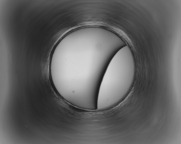 X0000098161228200804171210