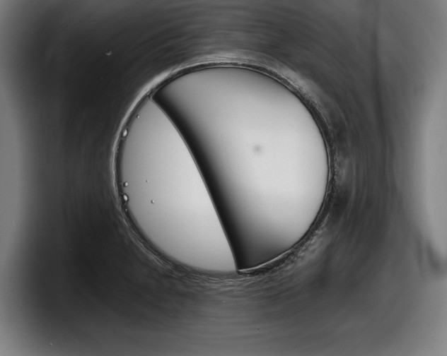 X0000098161230200804171210