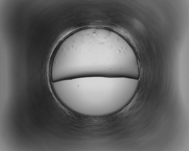 X0000098161231200804171211