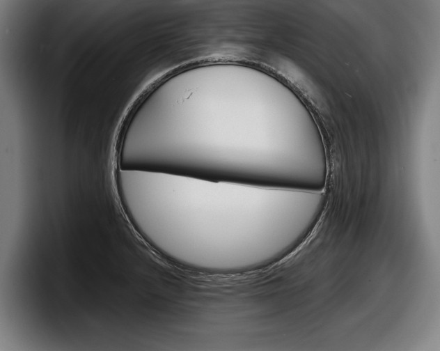 X0000098161232200804171211