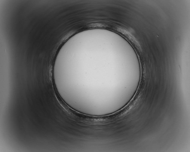 X0000098161233200804171211