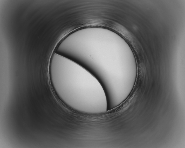 X0000098161234200804171211
