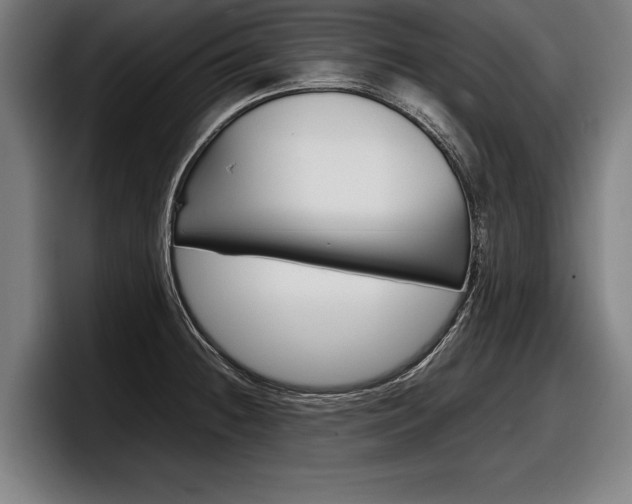X0000098161236200804171211