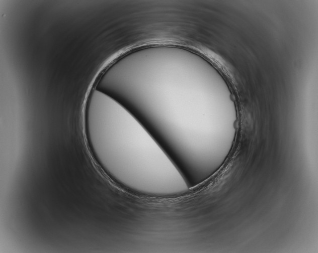 X0000098161238200804171211