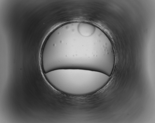 X0000098161239200804171211