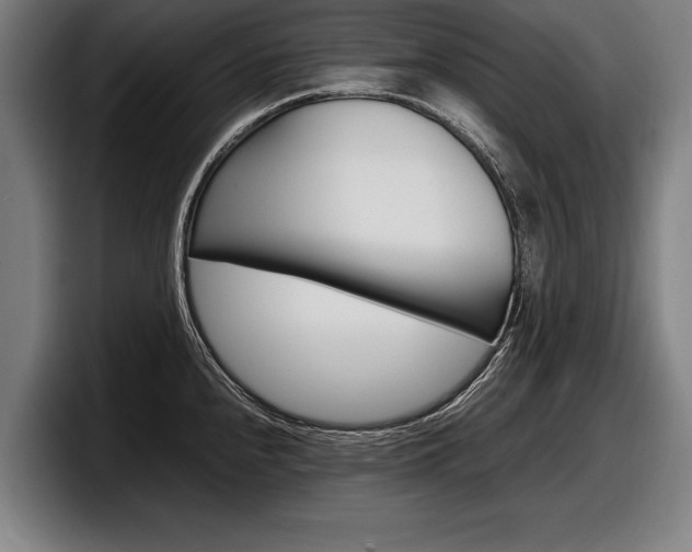 X0000098161240200804171211