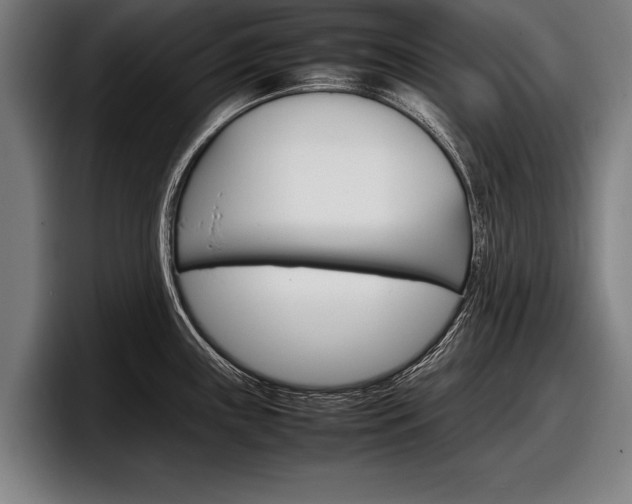 X0000098161243200804171211