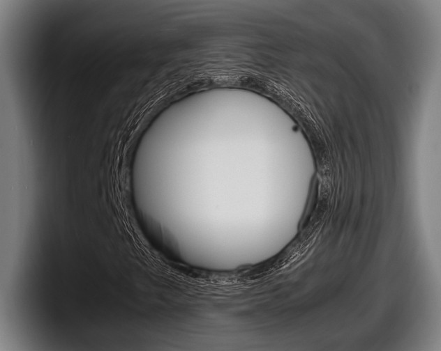 X0000098161249200804171210